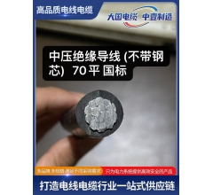 中壓絕緣導線